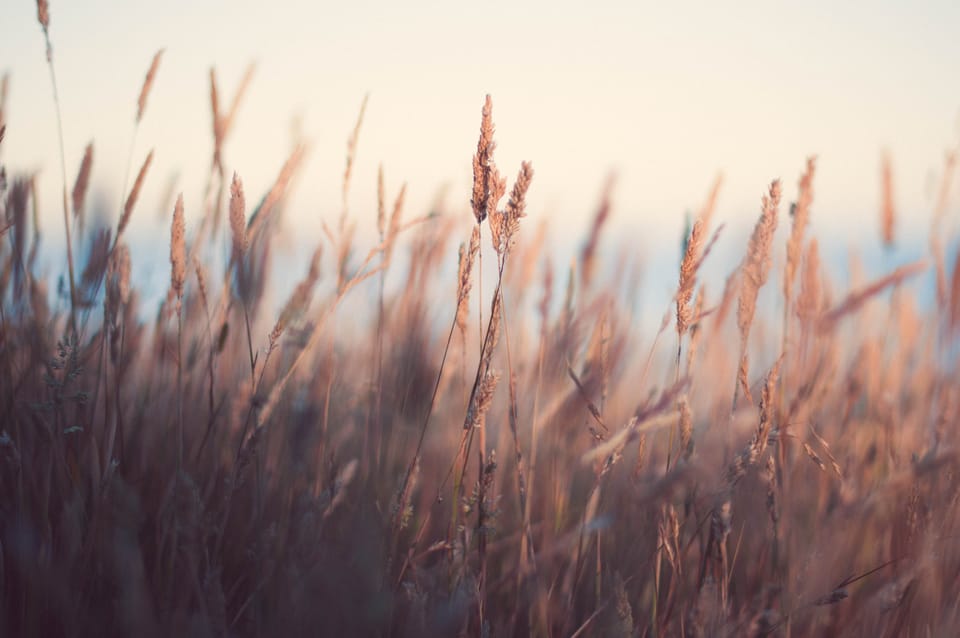 A B O U T / T H I S / S P A C E